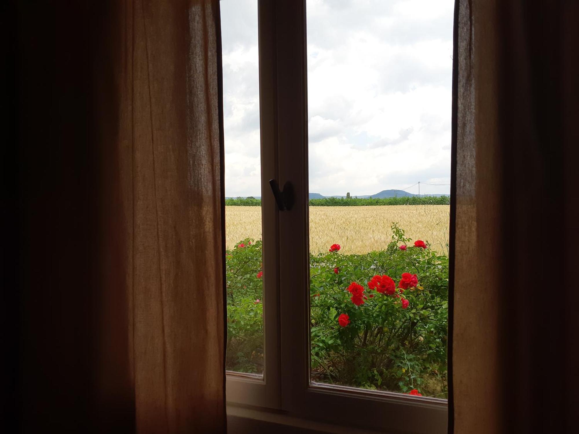 Chambres D'Hotes, B&B La Musardiere Alba-la-Romaine ภายนอก รูปภาพ