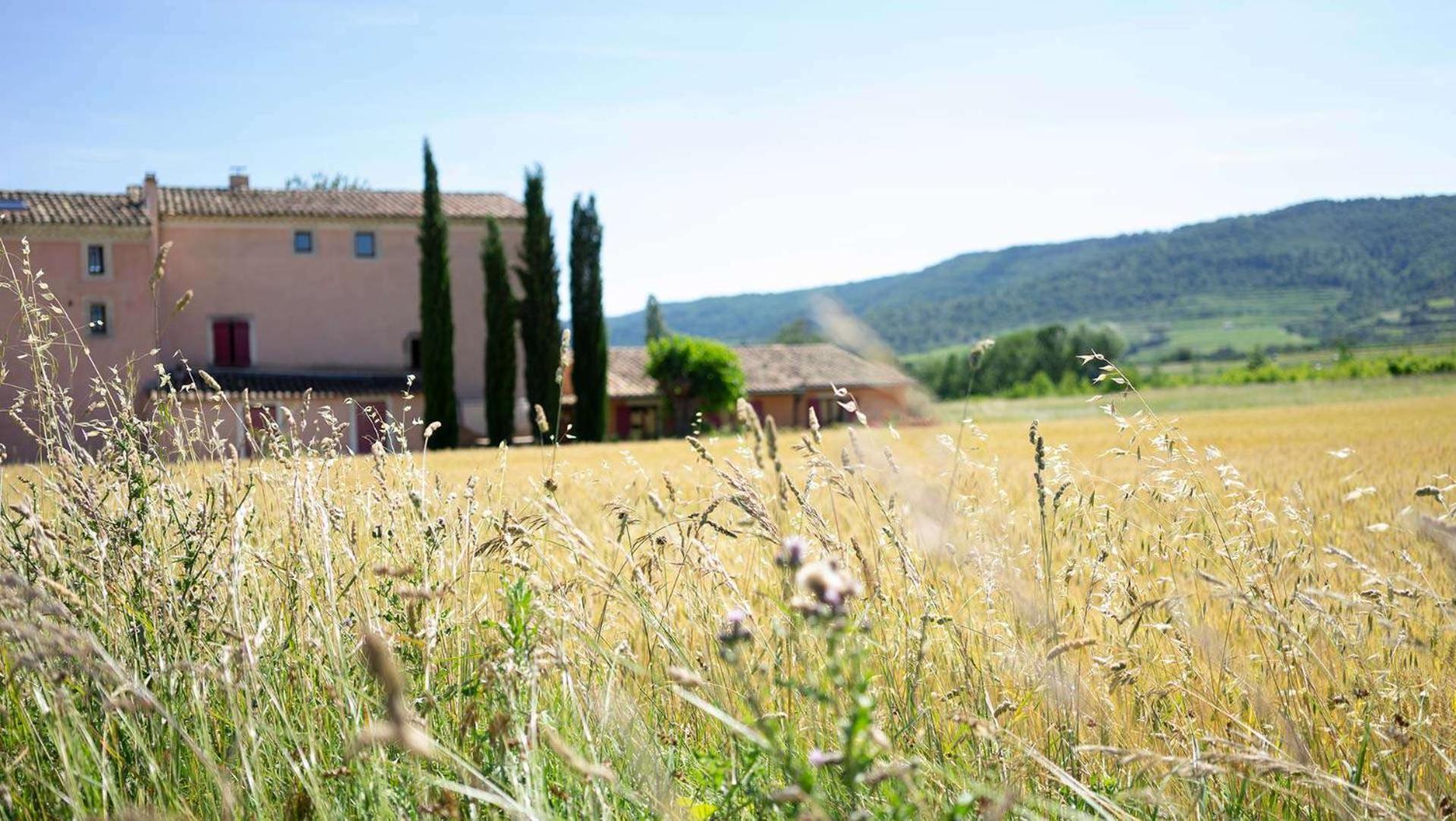 Chambres D'Hotes, B&B La Musardiere Alba-la-Romaine ภายนอก รูปภาพ